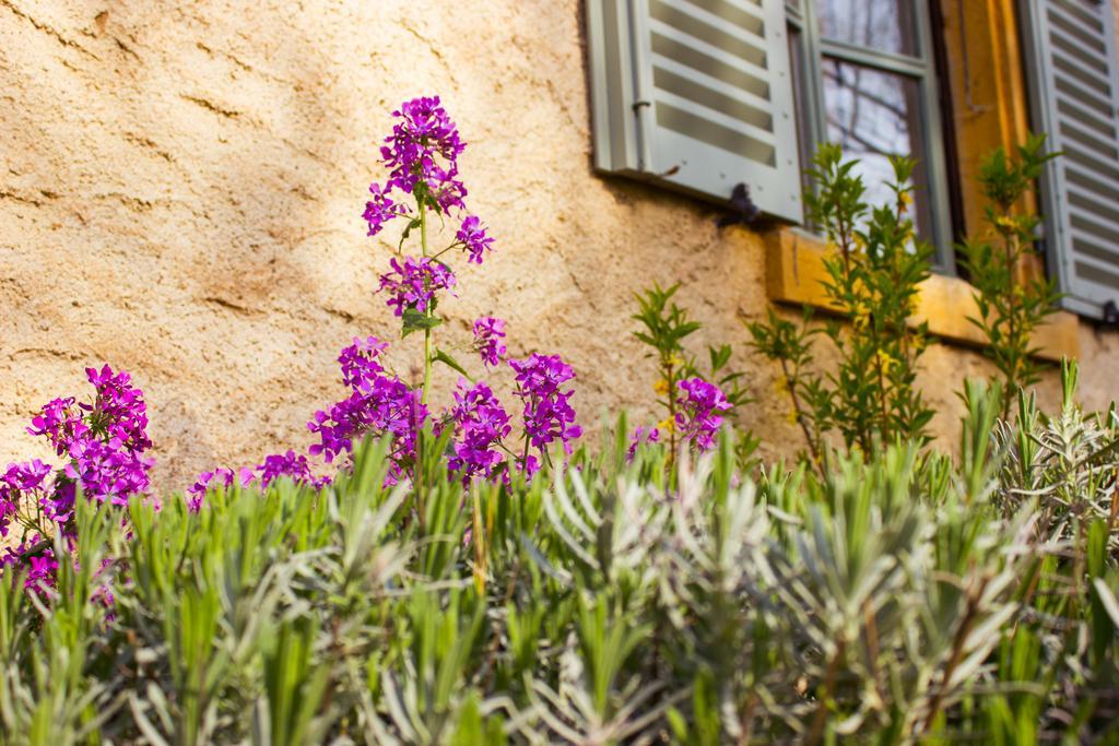 Aux Ronzieres Bed and Breakfast Pouilly-sous-Charlieu Kamer foto